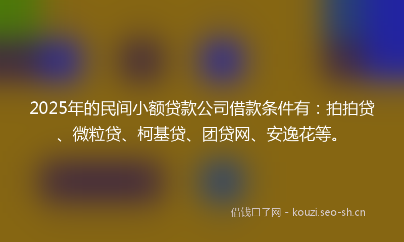 2025年的民间小额贷款公司借款条件有：拍拍贷、微粒贷、柯基贷、团贷网、安逸花等。