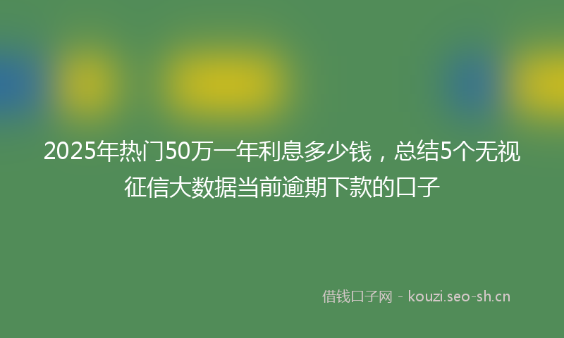 2025年热门50万一年利息多少钱，总结5个无视征信大数据当前逾期下款的口子