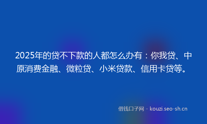 2025年的贷不下款的人都怎么办有：你我贷、中原消费金融、微粒贷、小米贷款、信用卡贷等。