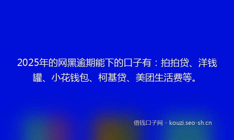 2025年的网黑逾期能下的口子有：拍拍贷、洋钱罐、小花钱包、柯基贷、美团生活费等。
