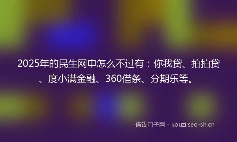 2025年的民生网申怎么不过有：你我贷、拍拍贷、度小满金融、360借条、分期乐等。