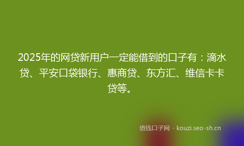 2025年的网贷新用户一定能借到的口子有：滴水贷、平安口袋银行、惠商贷、东方汇、维信卡卡贷等。