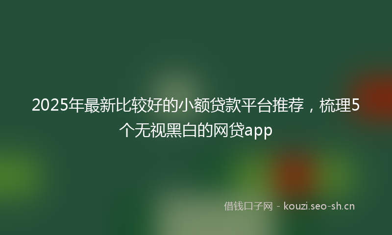 2025年最新比较好的小额贷款平台推荐，梳理5个无视黑白的网贷app