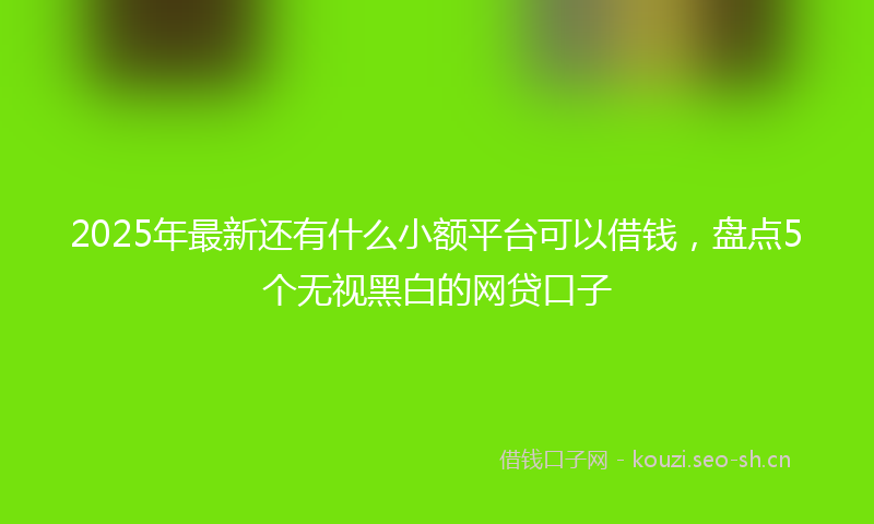 2025年最新还有什么小额平台可以借钱，盘点5个无视黑白的网贷口子