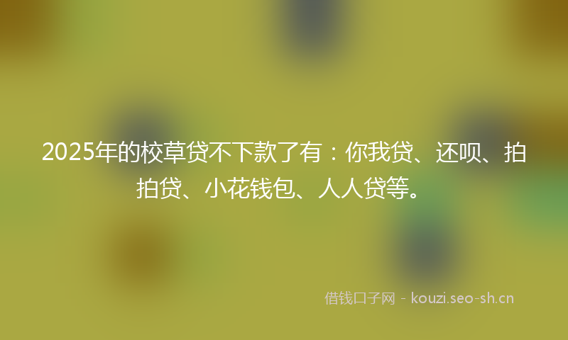 2025年的校草贷不下款了有：你我贷、还呗、拍拍贷、小花钱包、人人贷等。