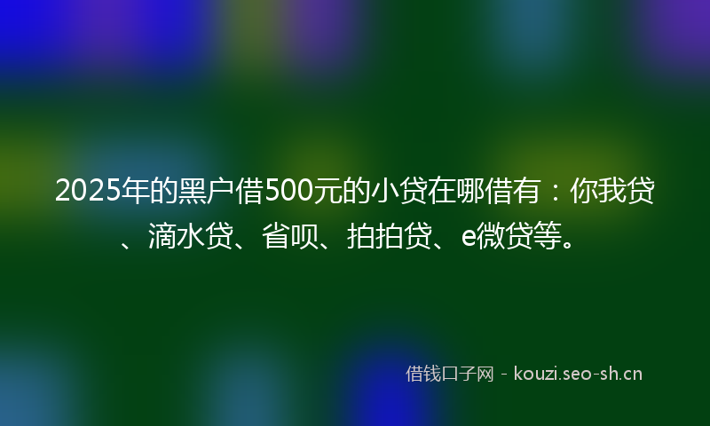 2025年的黑户借500元的小贷在哪借有：你我贷、滴水贷、省呗、拍拍贷、e微贷等。