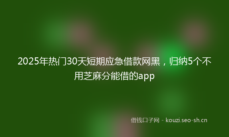 2025年热门30天短期应急借款网黑，归纳5个不用芝麻分能借的app