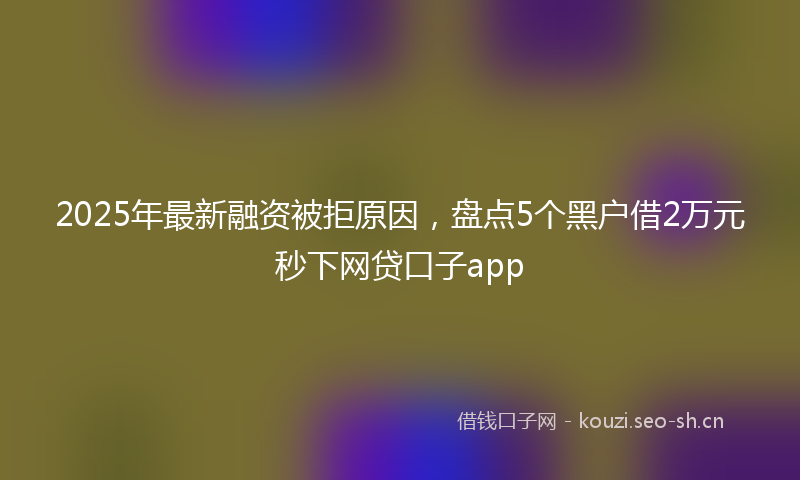 2025年最新融资被拒原因，盘点5个黑户借2万元秒下网贷口子app