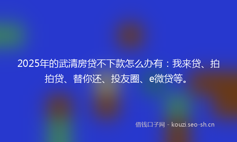 2025年的武清房贷不下款怎么办有：我来贷、拍拍贷、替你还、投友圈、e微贷等。