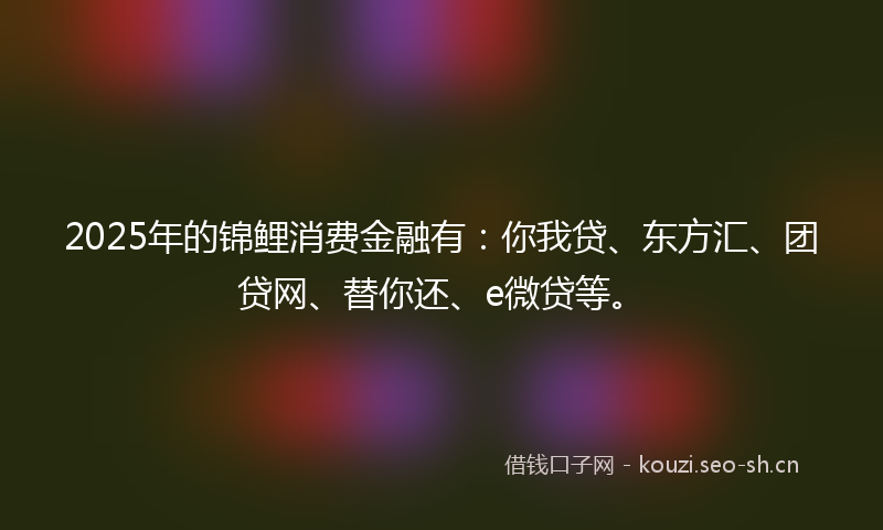 2025年的锦鲤消费金融有：你我贷、东方汇、团贷网、替你还、e微贷等。