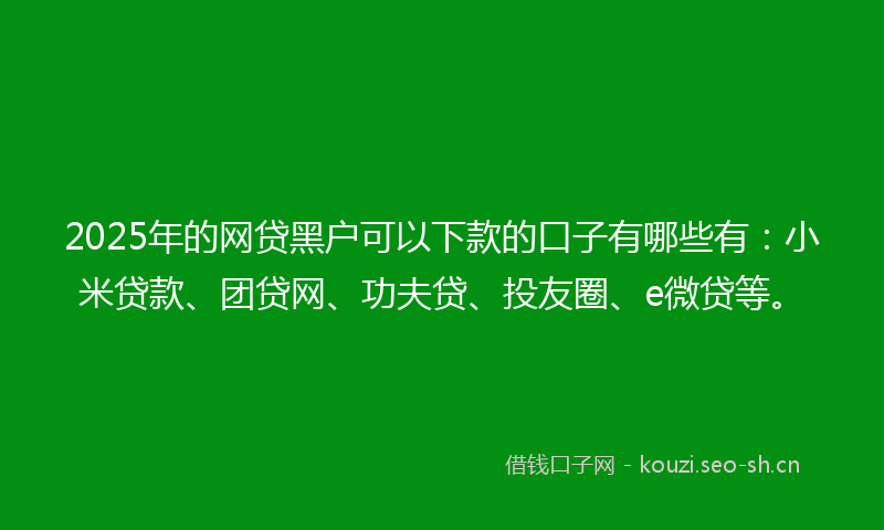 2025年的网贷黑户可以下款的口子有哪些有：小米贷款、团贷网、功夫贷、投友圈、e微贷等。