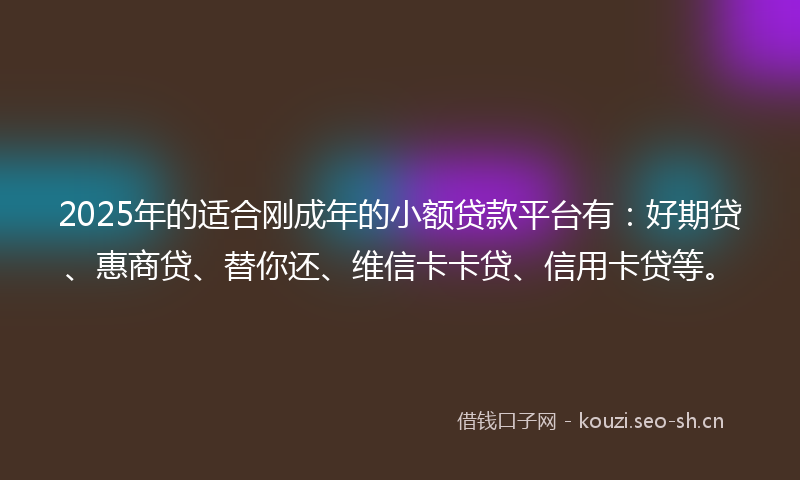 2025年的适合刚成年的小额贷款平台有：好期贷、惠商贷、替你还、维信卡卡贷、信用卡贷等。