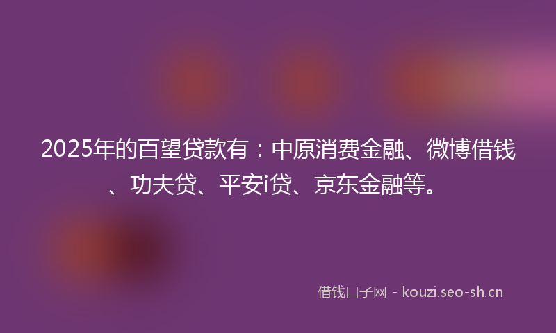 2025年的百望贷款有：中原消费金融、微博借钱、功夫贷、平安i贷、京东金融等。