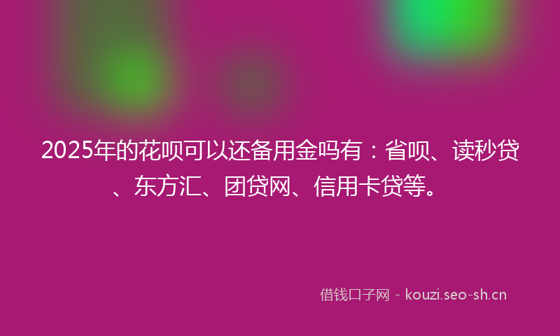 2025年的花呗可以还备用金吗有：省呗、读秒贷、东方汇、团贷网、信用卡贷等。
