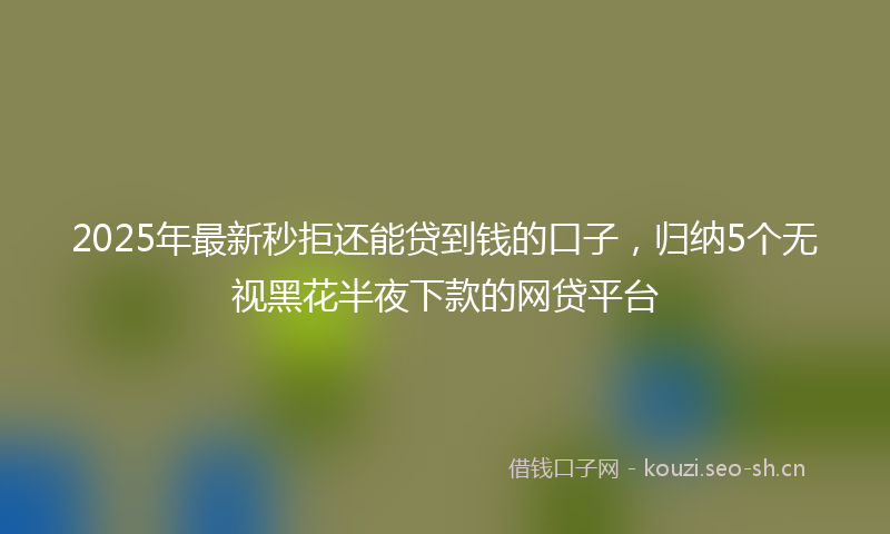 2025年最新秒拒还能贷到钱的口子，归纳5个无视黑花半夜下款的网贷平台