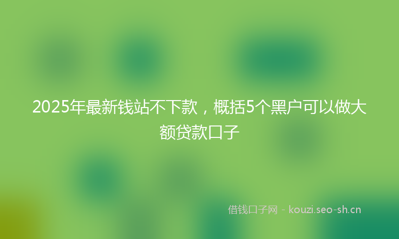 2025年最新钱站不下款，概括5个黑户可以做大额贷款口子