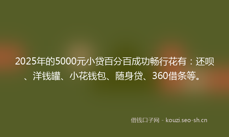 2025年的5000元小贷百分百成功畅行花有：还呗、洋钱罐、小花钱包、随身贷、360借条等。