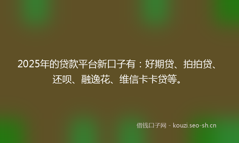 2025年的贷款平台新口子有：好期贷、拍拍贷、还呗、融逸花、维信卡卡贷等。