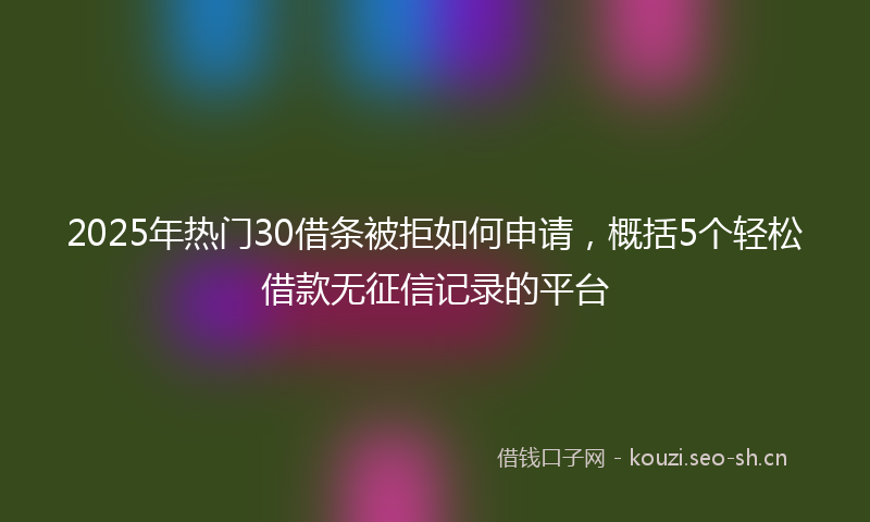 2025年热门30借条被拒如何申请，概括5个轻松借款无征信记录的平台