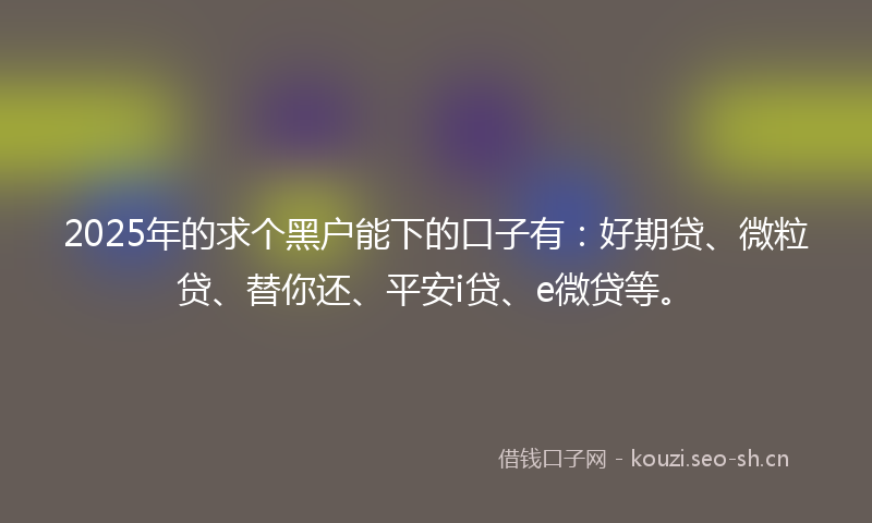 2025年的求个黑户能下的口子有：好期贷、微粒贷、替你还、平安i贷、e微贷等。