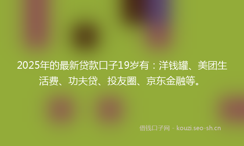 2025年的最新贷款口子19岁有：洋钱罐、美团生活费、功夫贷、投友圈、京东金融等。