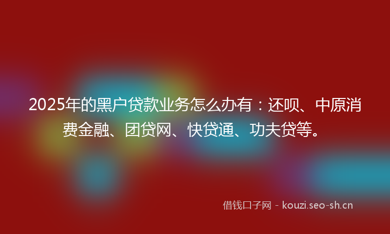 2025年的黑户贷款业务怎么办有：还呗、中原消费金融、团贷网、快贷通、功夫贷等。