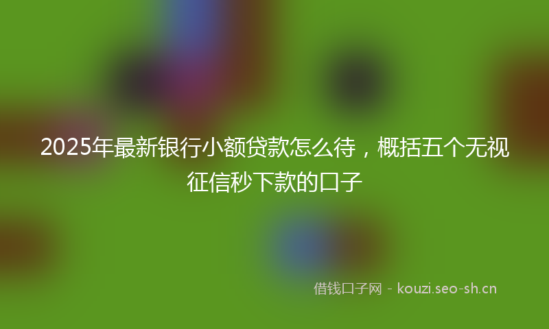 2025年最新银行小额贷款怎么待，概括五个无视征信秒下款的口子