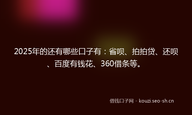 2025年的还有哪些口子有：省呗、拍拍贷、还呗、百度有钱花、360借条等。