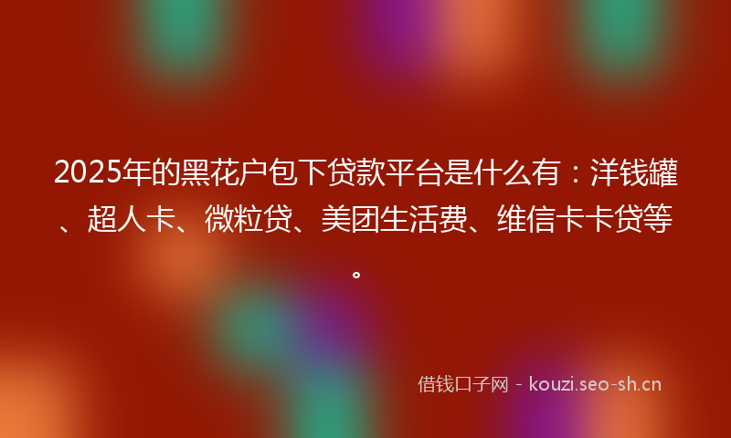 2025年的黑花户包下贷款平台是什么有：洋钱罐、超人卡、微粒贷、美团生活费、维信卡卡贷等。