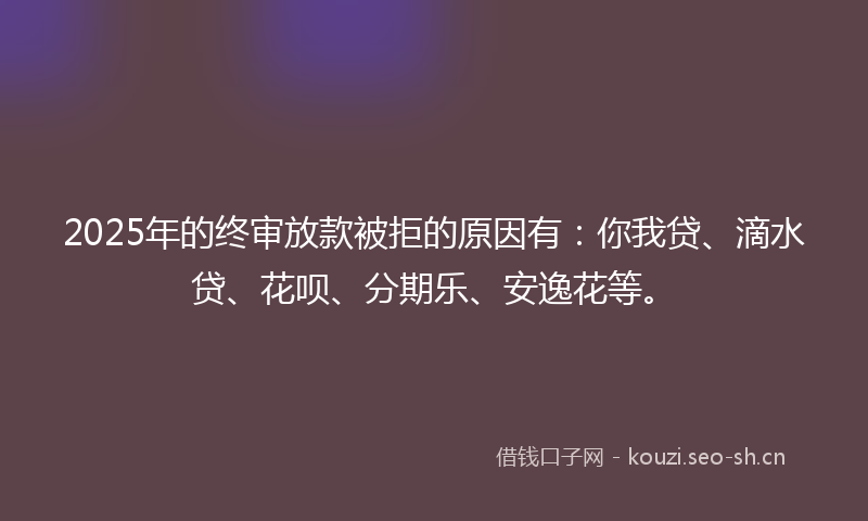 2025年的终审放款被拒的原因有：你我贷、滴水贷、花呗、分期乐、安逸花等。