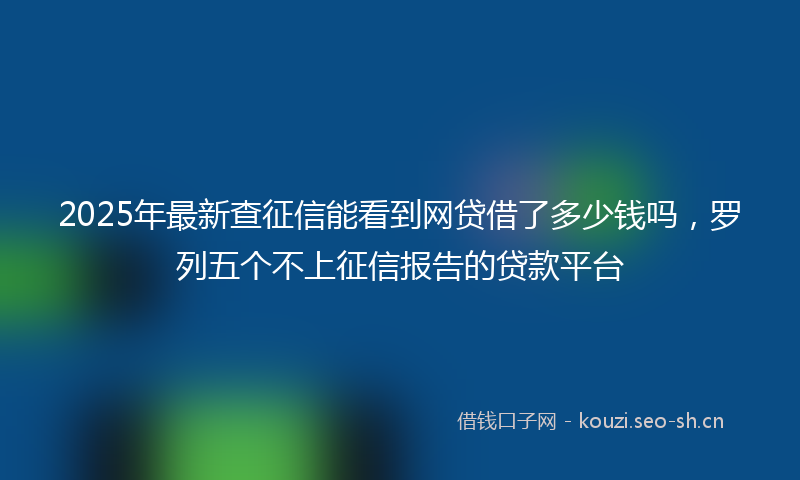 2025年最新查征信能看到网贷借了多少钱吗，罗列五个不上征信报告的贷款平台