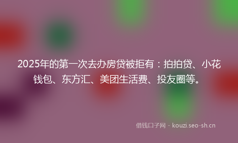 2025年的第一次去办房贷被拒有：拍拍贷、小花钱包、东方汇、美团生活费、投友圈等。