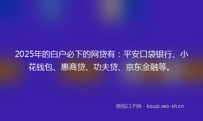 2025年的白户必下的网贷有：平安口袋银行、小花钱包、惠商贷、功夫贷、京东金融等。