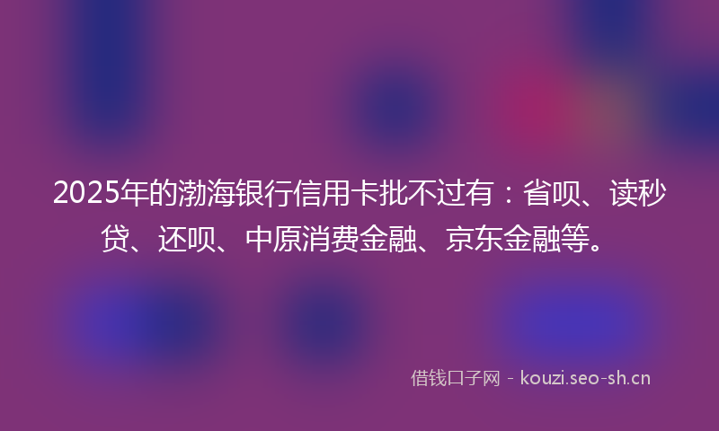 2025年的渤海银行信用卡批不过有：省呗、读秒贷、还呗、中原消费金融、京东金融等。