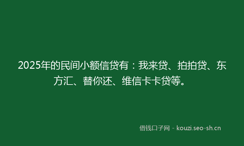 2025年的民间小额信贷有：我来贷、拍拍贷、东方汇、替你还、维信卡卡贷等。