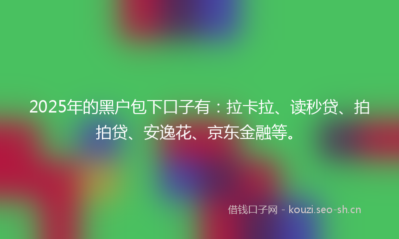 2025年的黑户包下口子有：拉卡拉、读秒贷、拍拍贷、安逸花、京东金融等。