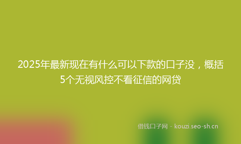 2025年最新现在有什么可以下款的口子没，概括5个无视风控不看征信的网贷