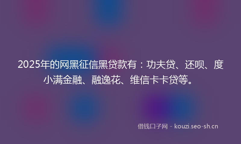 2025年的网黑征信黑贷款有：功夫贷、还呗、度小满金融、融逸花、维信卡卡贷等。