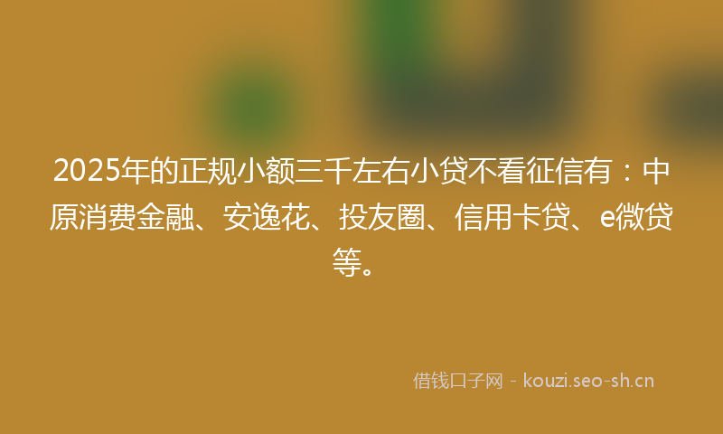 2025年的正规小额三千左右小贷不看征信有：中原消费金融、安逸花、投友圈、信用卡贷、e微贷等。
