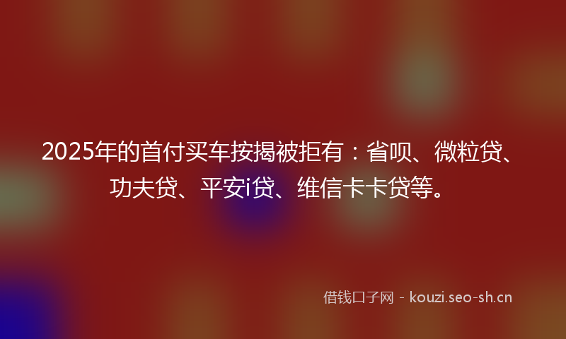 2025年的首付买车按揭被拒有：省呗、微粒贷、功夫贷、平安i贷、维信卡卡贷等。