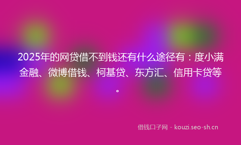 2025年的网贷借不到钱还有什么途径有：度小满金融、微博借钱、柯基贷、东方汇、信用卡贷等。