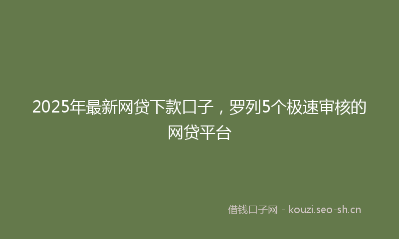 2025年最新网贷下款口子，罗列5个极速审核的网贷平台