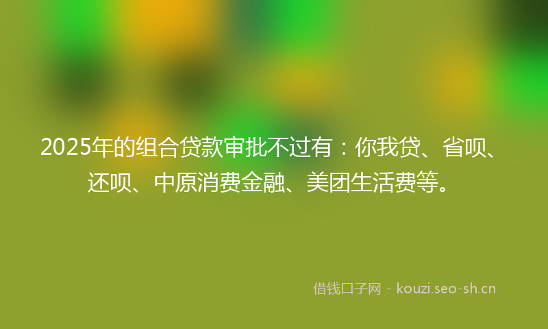 2025年的组合贷款审批不过有：你我贷、省呗、还呗、中原消费金融、美团生活费等。