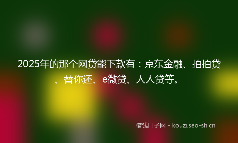 2025年的那个网贷能下款有：京东金融、拍拍贷、替你还、e微贷、人人贷等。