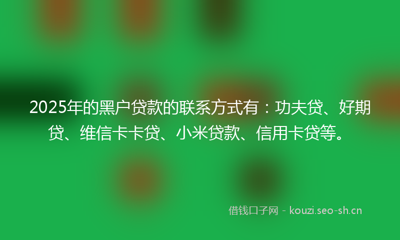 2025年的黑户贷款的联系方式有：功夫贷、好期贷、维信卡卡贷、小米贷款、信用卡贷等。