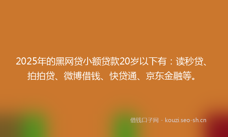 2025年的黑网贷小额贷款20岁以下有：读秒贷、拍拍贷、微博借钱、快贷通、京东金融等。