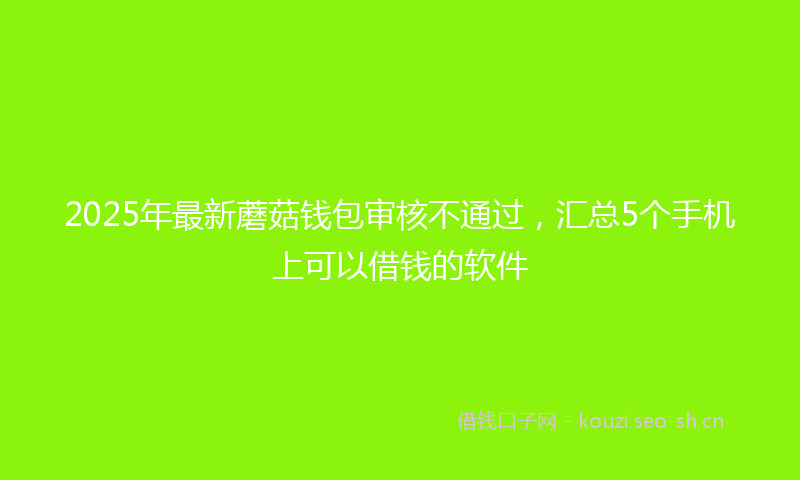 2025年最新蘑菇钱包审核不通过，汇总5个手机上可以借钱的软件