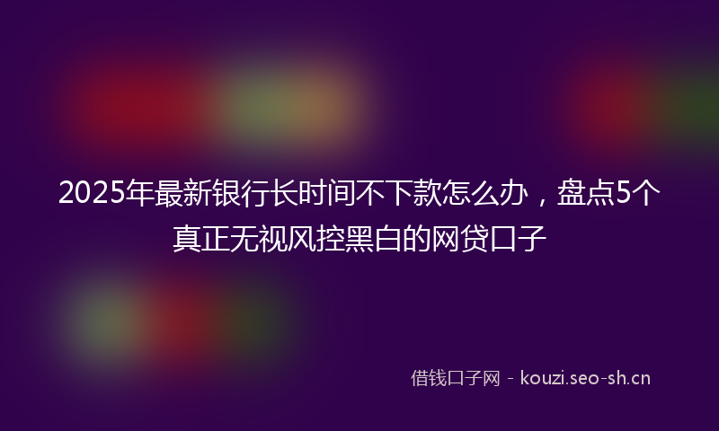 2025年最新银行长时间不下款怎么办，盘点5个真正无视风控黑白的网贷口子