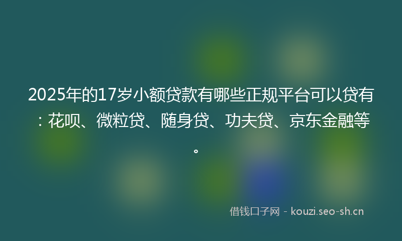 2025年的17岁小额贷款有哪些正规平台可以贷有：花呗、微粒贷、随身贷、功夫贷、京东金融等。