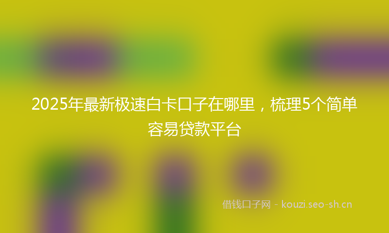 2025年最新极速白卡口子在哪里，梳理5个简单容易贷款平台